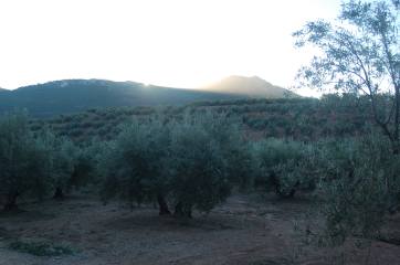 Cuerda de los Toriles y cerro de la Umbría