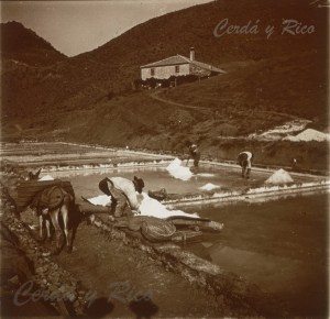 Salina de Jesús. Fuente: Cerdá y Rico.