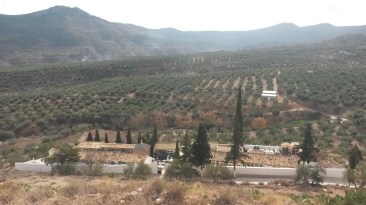 Cara Sur del cerro, donde existen más restos de la antigua población y el cementerio.