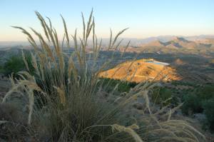 Vista de las Ramblas y característico esparto