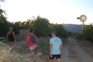 Camino de acceso a las Rajas